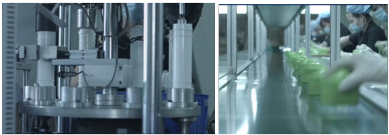 Cartucho de filtro de cerámica nano del reemplazo de la jarra de Maxtra del reemplazo de WellBlue Corea