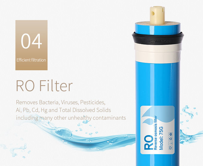 Sistema de la purificación del agua de la ósmosis reversa de WellBlue del rendimiento excepcional